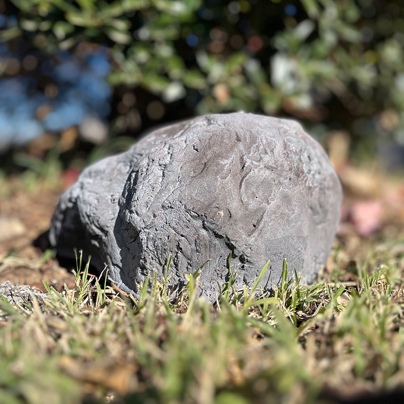 SG Xtreme Life Solar Rock