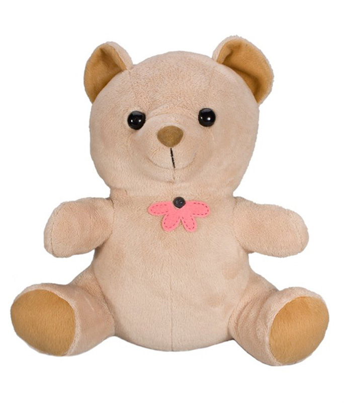 SGTB Teddy Bear Camera Front View