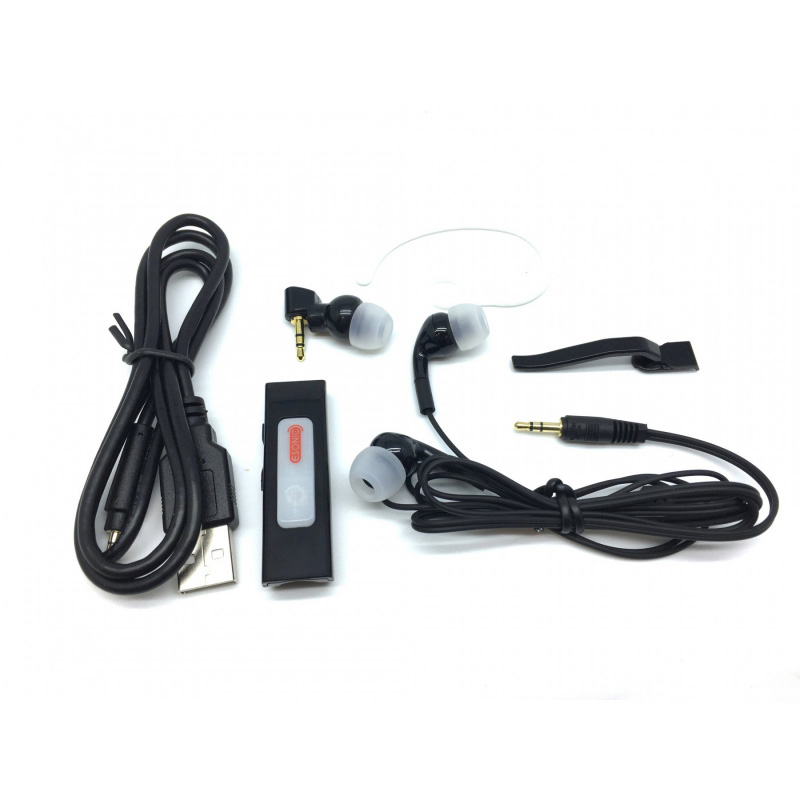 Mini Voice Amplifier